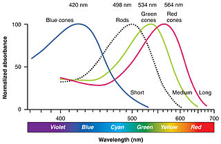 Color Sensitivity of the Human Eye by Wikipedia user OpenStax College (2013)